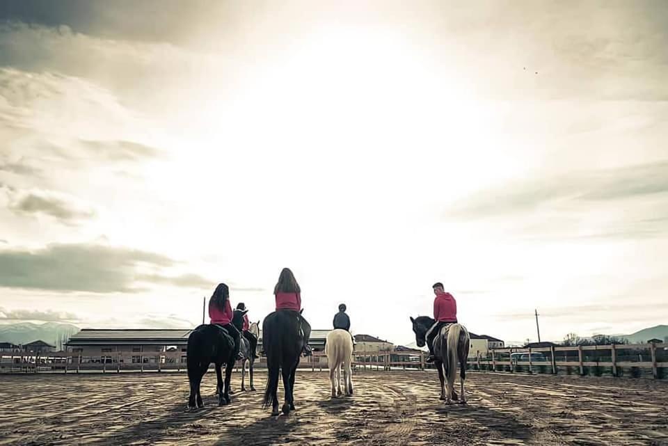 House Of Horses Shtepia E Kuajve 호텔 코르처 외부 사진